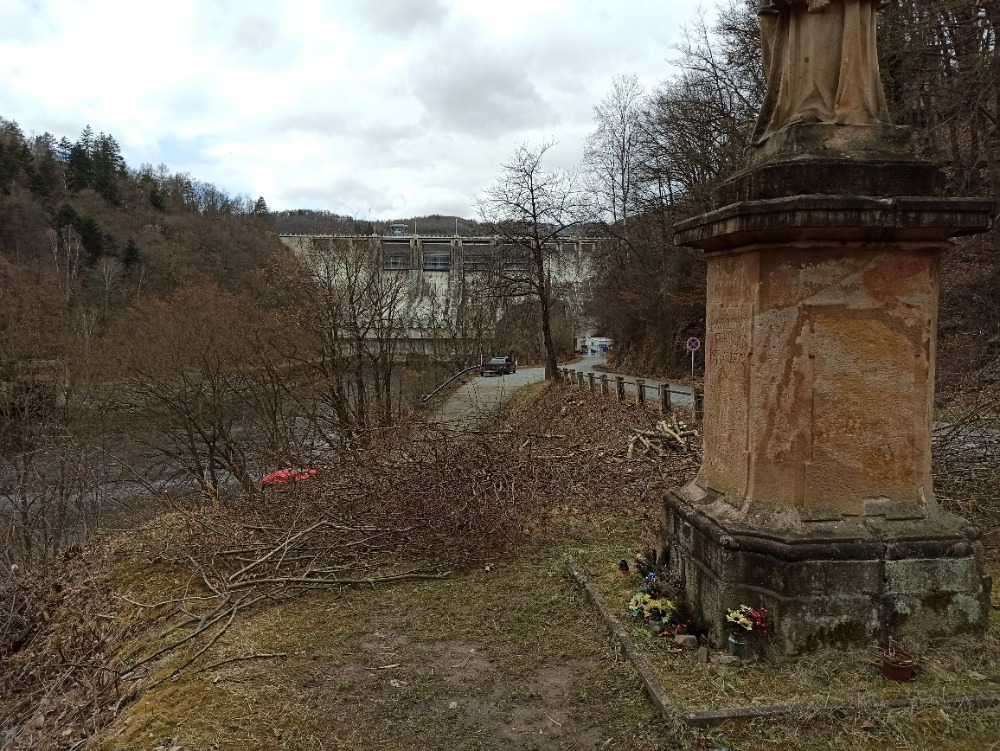 IMG_20210312_112445