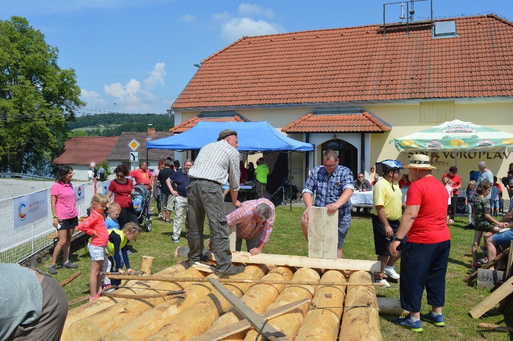 Den s vorari,plavec Husa 2018 109