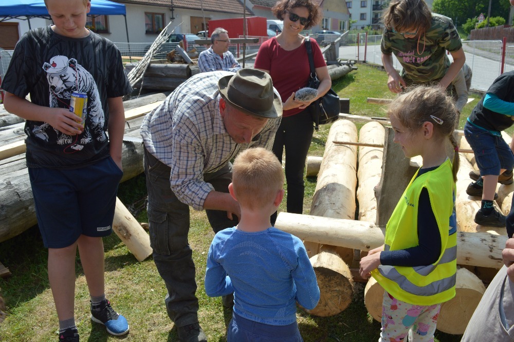 Den s vorari,plavec Husa 2018 149