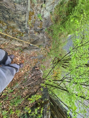 IMG-20250421-WA0037