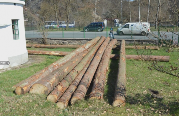 Výstřižek